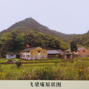于诸善法数数串习,令心成彼分